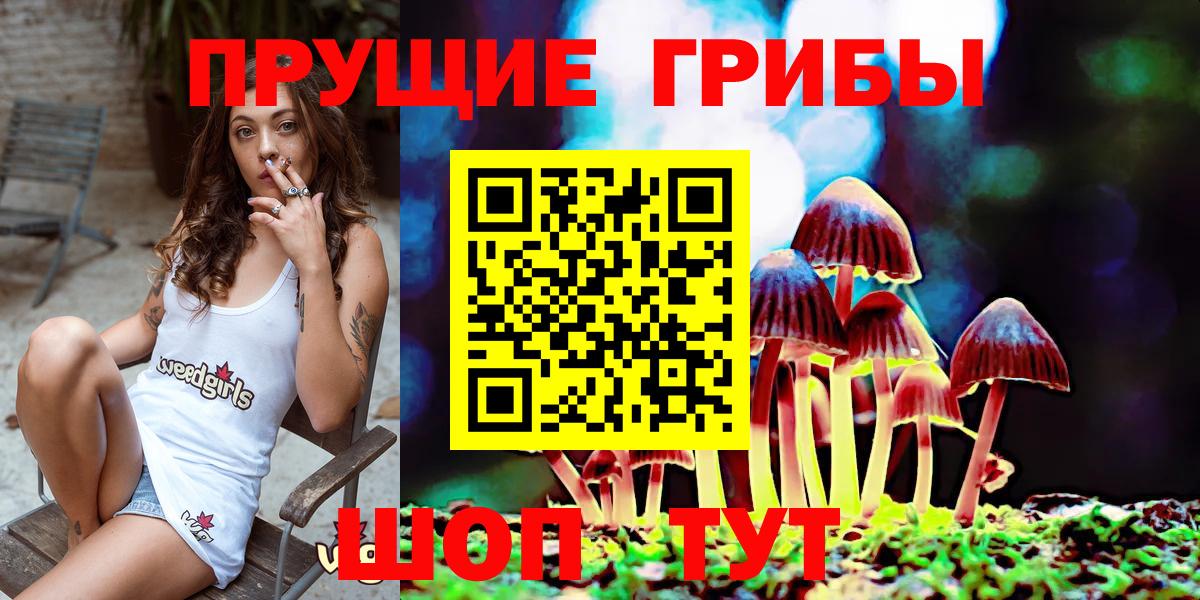 Псилоцибиновые грибы Magic Shrooms Кириши